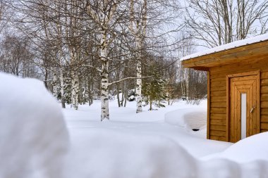 Büyük kar yığınlarının ve eski evin üzerindeki huş ağaçlarının manzarası. Karlı kış.
