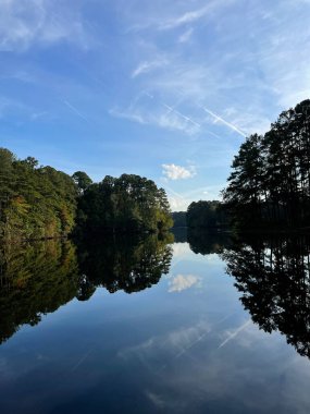 Bir göle yansıyan ağaçlar 