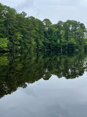 Gölde yansıyan ağaçlar