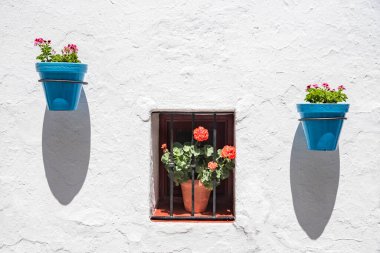 İspanya 'da tipik bir Endülüs köyünde duvarlarda asılı çok renkli saksılar