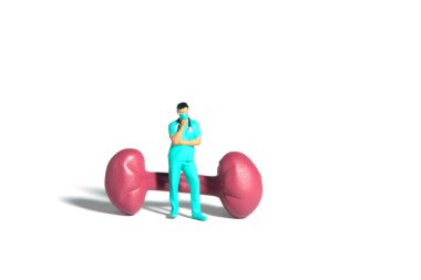 Miniature people toy figure photography. A men doctor or nurse thinking while standing in front of kidney organ. Isolated white background. Image photo