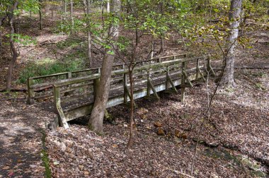 Köprü, sonbahar mevsiminde St. Louis 'de ıslak bir dereden geçiyor.