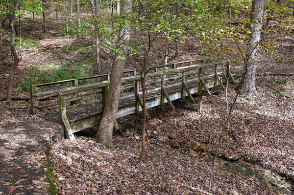 Brug Een Natte Beek Het Najaar Louis — Stockfoto