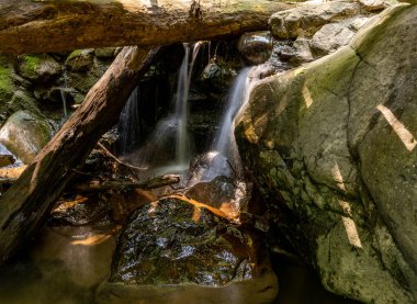 Chattanooga, TN USA 'deki Glen Falls parkında küçük bir şelale.