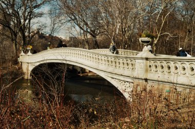 New York, NY- 19 Şubat 2022: New York 'ta Manhattan' ın gökdeleniyle çevrili popüler bir turizm merkezi olan Central Park 'ın panoramik manzarası