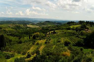 San Gimignano, İtalya yakınlarındaki Toskana tepelerindeki üzüm bağının panoramik manzarası