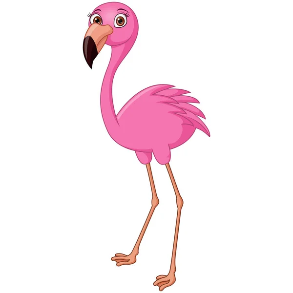 Vector Illustration Cute Flamingo Cartoon White Background — ストックベクタ