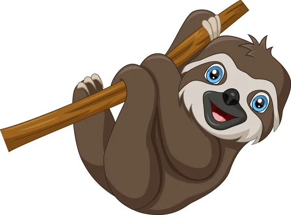 Vector Illustration Cute Baby Sloth Cartoon Hanging Tree Branch — Stock Vector