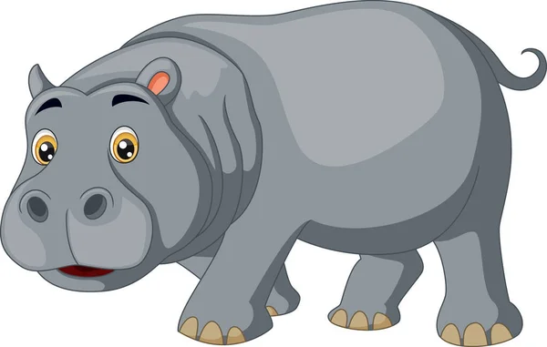 Ilustração Vetorial Desenho Animado Bonito Hipopótamo Sobre Fundo Branco —  Vetores de Stock