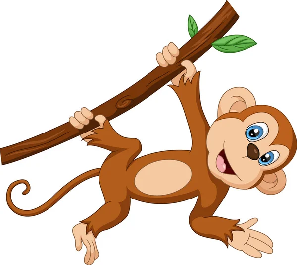 Bonito bebê macaco dormindo kawaii desenho animado vetor ilustração isolado  . imagem vetorial de Sabelskaya© 321169708