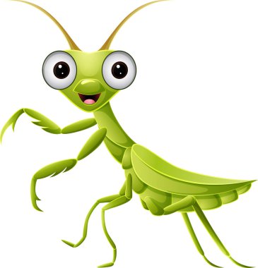 Beyaz arkaplanda Şirin Yeşil Peygamberdevesinin Vektör İllüstrasyonu