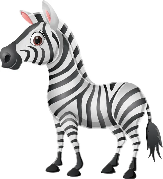 Ilustração Vetorial Zebra Bebê Bonito Fundo Branco — Vetor de Stock