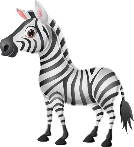 Vektor Illusztrációja Aranyos Baba Zebra Fehér Alapon — Stock Vector