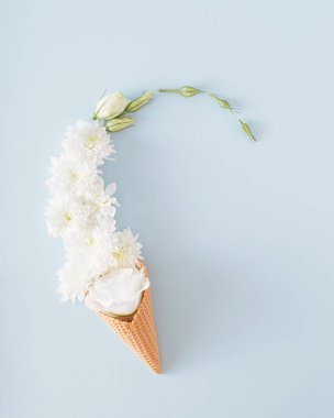 Dondurma külahında doğal çiçekler. Mavi pastel arka plan. Çeşitli amaçlar için yaratıcı düzen