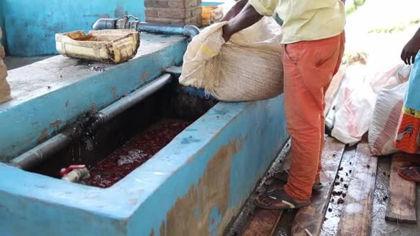 Process Picking Out Bad Coffee Beans Washing Station High Quality — Stock Video