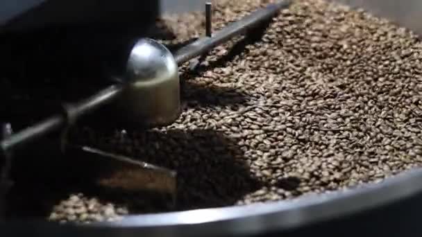 烘焙厂烘焙咖啡样本 — 图库视频影像