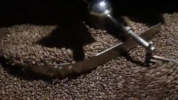 Ψήσιμο του δείγματος καφέ στο εργοστάσιο ψησίματος — Αρχείο Βίντεο