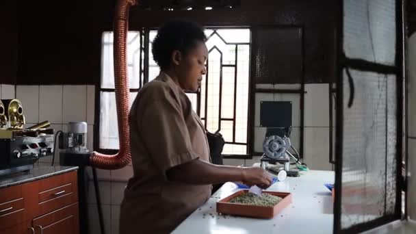 Las trabajadoras africanas están clasificando granos de café lavados antes de asar muestras en las instalaciones — Vídeos de Stock