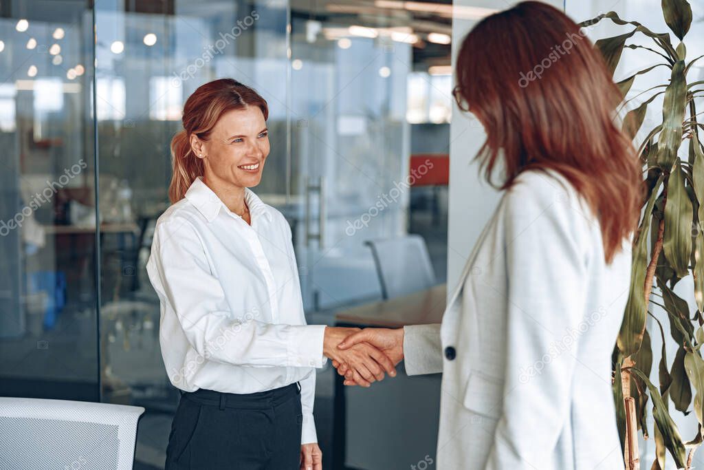 Business woman handshake in office showing professional agreement on a financial deal contract.