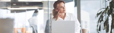 Concentrated mature beautiful businesswoman working on laptop in bright modern office.