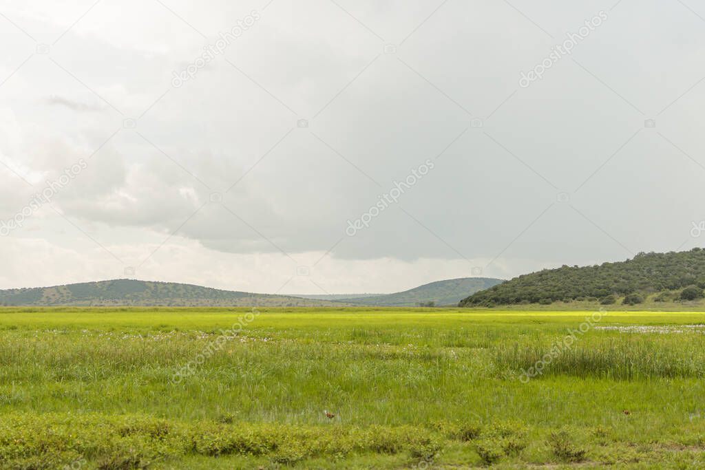 Beautiful view of a national park in Africa, fields with mountains in the background