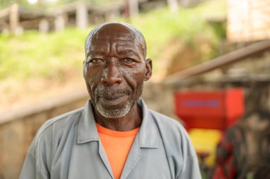 Kahve fabrikasında çalışan Afrikalı Amerikalı işçilerin portresi. Kahve üretimi