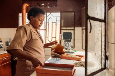 Side view of female worker putting coffee in a bag after sorting while using a sieve