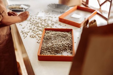 African Amrican woman taking notes and sifting coffee beans in a sieve
