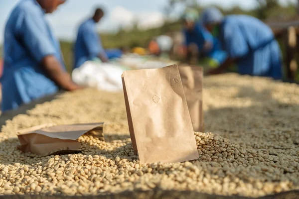 Paper bags at a coffee washing station in africa region with African American workers on the background