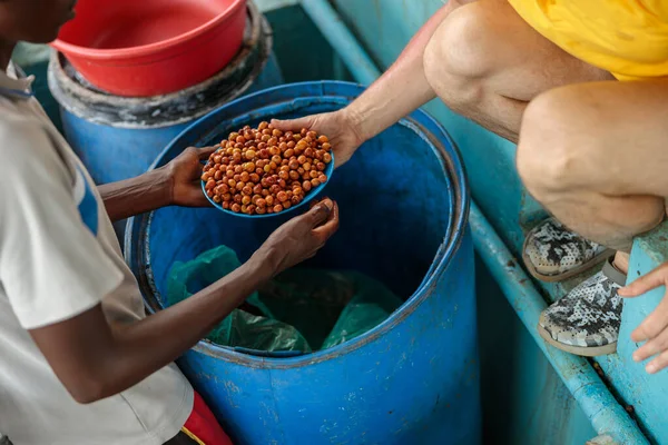 Cropped photo of Africa American farm worker passing a plate of coffee beans to a tourist