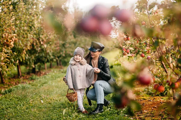 Mom and her baby girl walking and picking apples in the garden. harvesting autumn. apple orchard, wild garden — Stock Photo, Image
