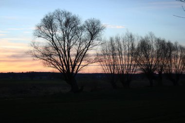 Aşağı Vistula Vadisi 'nde renkli bir gün batımı. Renkli gökyüzü.
