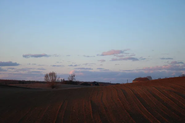 Clear Spring Sunset Farmland — Zdjęcie stockowe