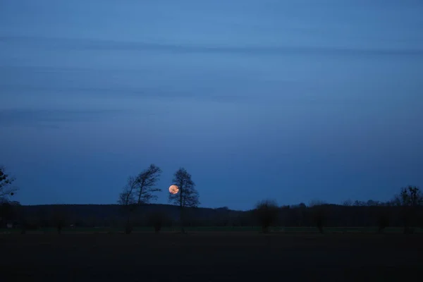 Moonrise Lua Cheia Sombras Árvores Vale Baixo Vistula — Fotografia de Stock