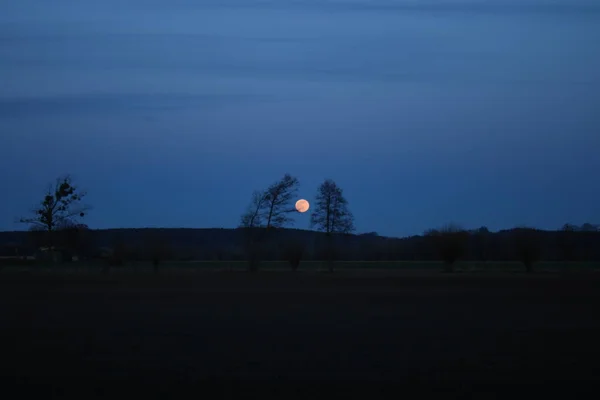 Moonrise Full Moon Tree Shadows Valley Lower Vistula — 스톡 사진