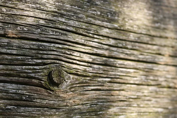 Eski, harap olmuş ahır, tahtalar dökülüyor..