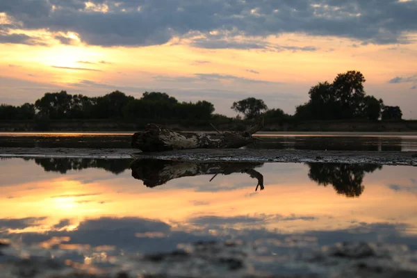 Dry Tree Trunk Lies River Bank — Zdjęcie stockowe