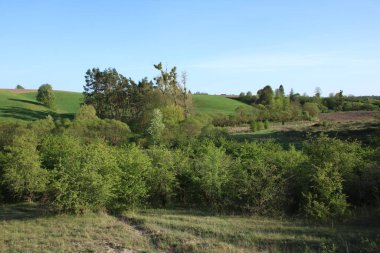 Vadi çimlerle ve akan ağaçlarla kaplıdır..