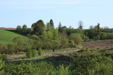 Vadi çimlerle ve akan ağaçlarla kaplıdır..