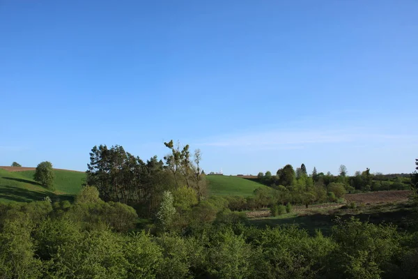 Valley Covered Grasses Trees Flowing Stream — Φωτογραφία Αρχείου