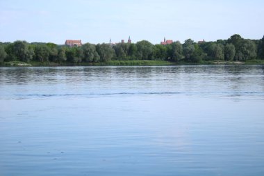Vistula Nehri 'ndeki eski Chelmno kasabasının panoraması. Ön planda kuru bir ağaç var..