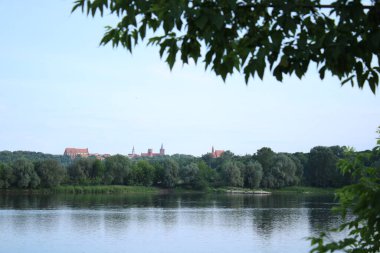 Panorama of the old town of Chelmno from the Vistula River. in the foreground is a dry tree.