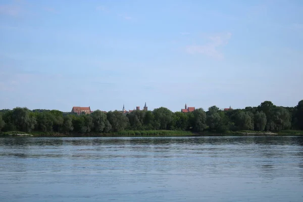 Panorama Old Town Chelmno Vistula River Foreground Dry Tree — Φωτογραφία Αρχείου