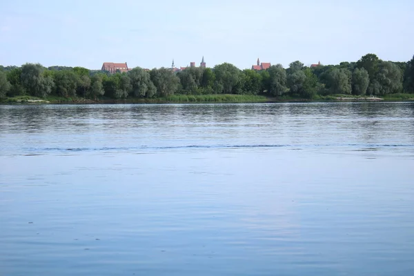 Panorama Old Town Chelmno Vistula River Foreground Dry Tree — Φωτογραφία Αρχείου