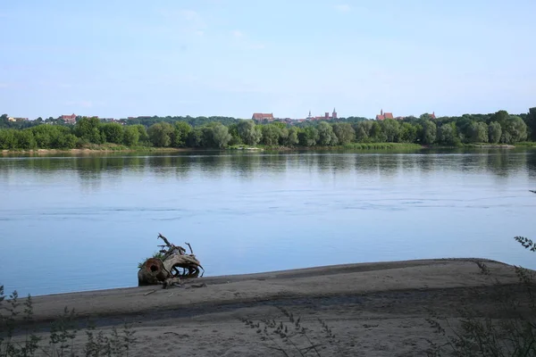 Panorama Old Town Chelmno Vistula River Foreground Dry Tree — Φωτογραφία Αρχείου