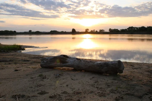 Dry Tree Lying Bank River Sunset — Stock Photo, Image