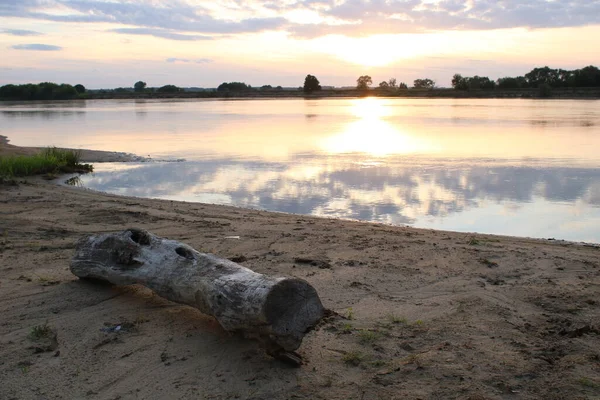 Dry Tree Lying Bank River Sunset — Stock Photo, Image