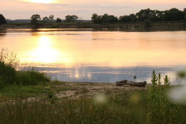 Dry Tree Lying Bank River Sunset — Foto Stock