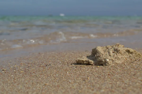 Sandy wild beach of the Red Sea. — 图库照片