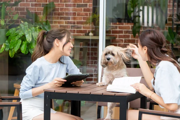 Güzel Asyalı bayan arkadaş oturuyor ve bir kitap okuyor. Güzel bir kadın yaramaz bir köpekle balkonda oturuyor..